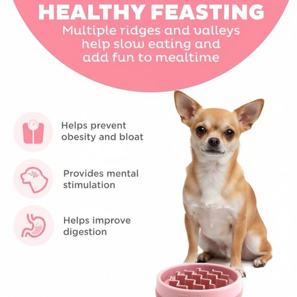 Outward Hound Slo Bowl SMALL Pink Puppy Slow Feeder Anti Bloat Dog Chihuahua - Picture 4 of 8